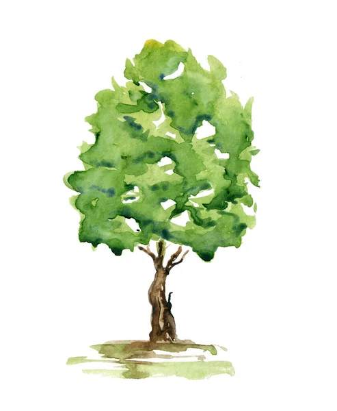 Θερινό Δέντρο Ακουαρέλας Χειροποίητο Πράσινο Φυτό Για Φόντο Αφίσα Λάβαρο — Φωτογραφία Αρχείου