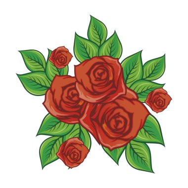 Kırmızı gül çiçek vektörü ve illüstrasyon