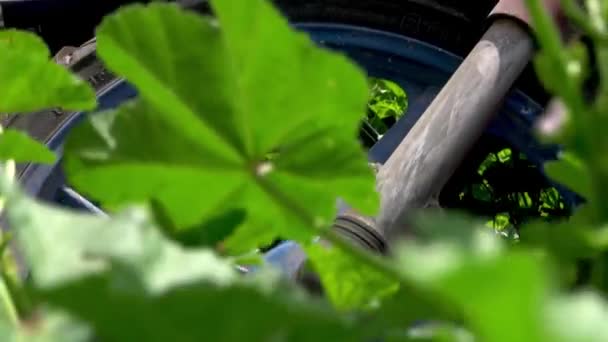 Campo Chatarra Atardecer Bici Vieja Trigo Plantacin — Vídeo de Stock