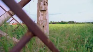 Campo chatarra atardecer bici vieja trigo plantacin