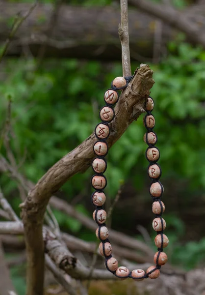 Runik daire Futhark alfabesi kırık bir ağaca asılı dairesel bir şekilde yazılmış. Antik yazının sembolleri. Tılsım olarak sihirli semboller ya da rünler kullanılır..
