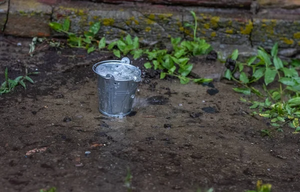 a bucket of water in which water splashes. A green plant grows from asphalt.