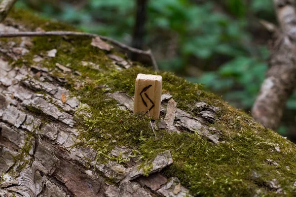 苔の間の木の上に立つ1本の木製のルーンの上からの眺め 円のシンボル アルファベット — ストック写真