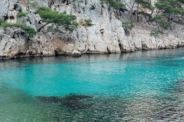 Calanques Ulusal Parkı 'nda turkuaz suyu ve kayalık kayalıkları olan güzel bir sahil..