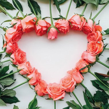 Taze pembe güllerin kalp çerçevesi beyaz arka planda çiçek açıyor..