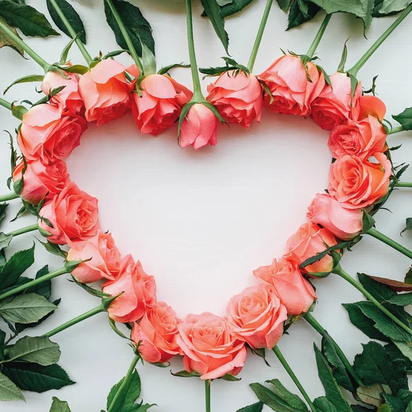Taze pembe güllerin kalp çerçevesi beyaz arka planda çiçek açıyor..