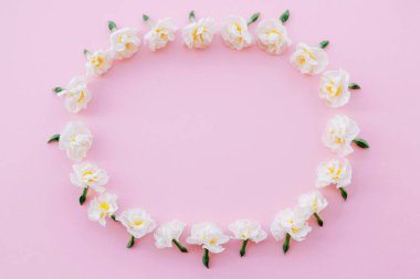 Pastel pembe arka planda güzel beyaz nergis çiçeklerinden yapılmış çerçeve, üst manzara. Uzayı kopyala Düz yatıyordu. Bahar çiçekleri. Mutlu Paskalyalar. Düğün davetiyesi.