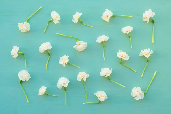 Beautiul fresh white daffodil flowers on pastel green background, top view. Floral pattern with spring blossoms. Flat lay style.