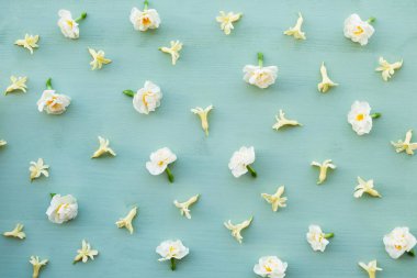 Taze sarı sümbül yaprakları ve pastel yeşil ahşap arka planda beyaz nergis çiçekleriyle yapılmış güzel bir çiçek deseni. Bahar çiçekleri. Düz yatıyordu.