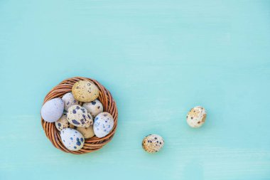 Mutlu Paskalyalar. Açık mavi arka planda kuş yuvasında güzel renkli bıldırcın yumurtaları, üst manzara. Uzayı kopyala, düz yat. Minimum Paskalya kompozisyonu. İlkbahar.