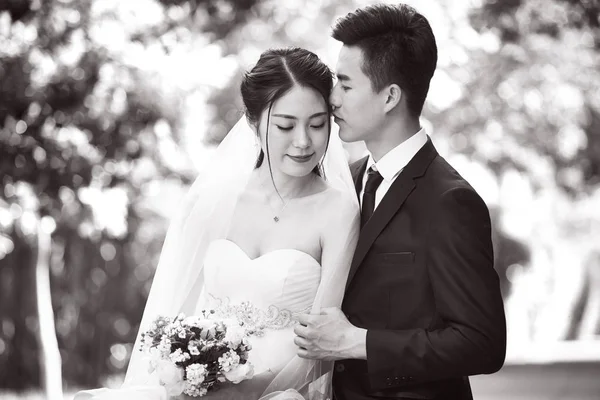 Ao ar livre retrato de um recém-casado asiático casal — Fotografia de Stock