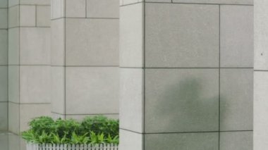 fincan-in kahve ya da bilgisayar çantası modern binaya girerken konuşurken yürüyüş tutarak çok ırklı iş adamları.