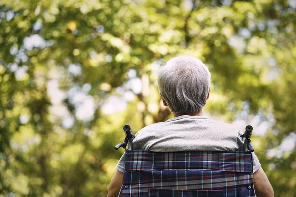 Rear view of asian old man sitting wheel chair — Stock Photo, Image