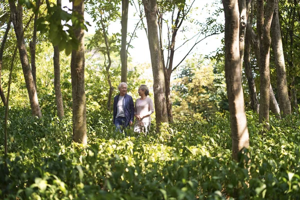 Asiatique senior couple marche dans parc — Photo