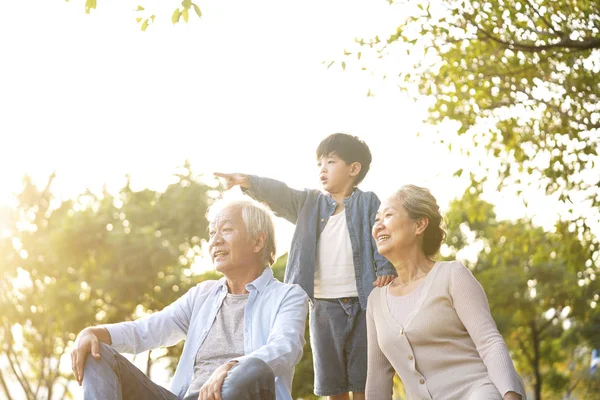 Asiático abuelos disfrutando bueno tiempo con nieto —  Fotos de Stock