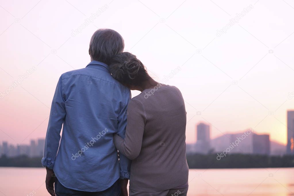 senior asian couple looking at city skyline