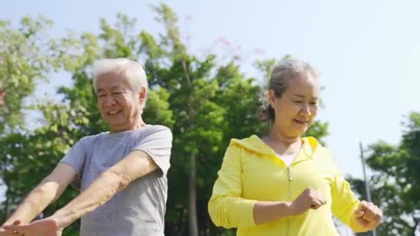 幸せなシニアアジアのカップルは屋外でストレッチ腕を行使 — ストック動画