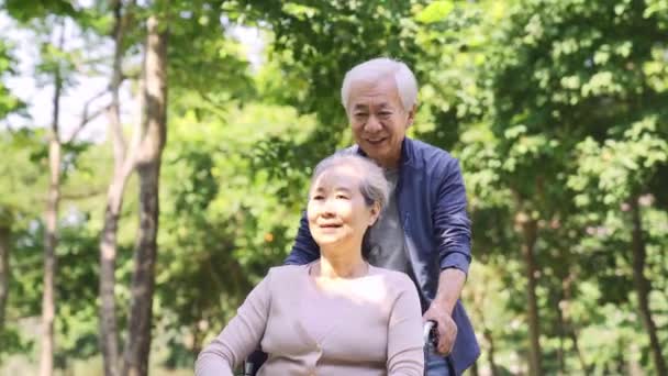 Ευτυχισμένο Ζευγάρι Ηλικιωμένων Ασιατική Χαλάρωση Εξωτερικούς Χώρους Στο Πάρκο — Αρχείο Βίντεο