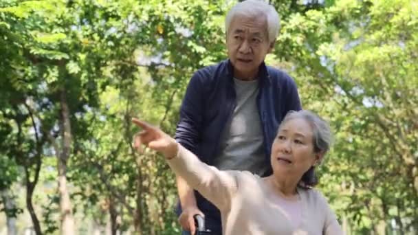 Senioren Aziatisch Paar Ontspannen Buiten Park — Stockvideo