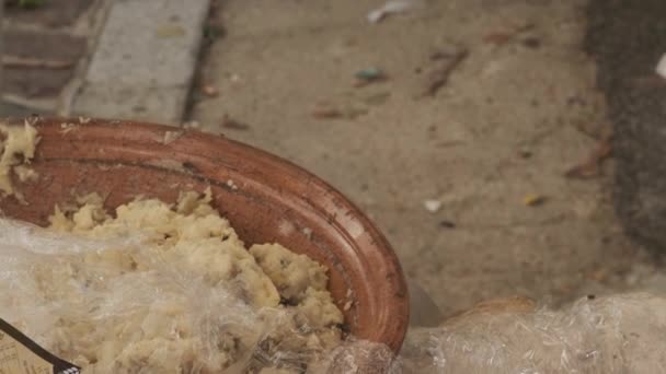 Традиционный Сардинский Сыр Червями Касу Марзу Сардинский Сыр Личинками Пиофилы — стоковое видео