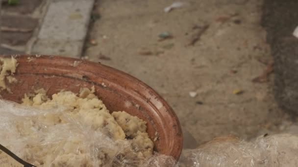 Traditional Sardinian Cheese Worms Casu Marzu Sardinian Cheese Larvae Piophila — Stock Video