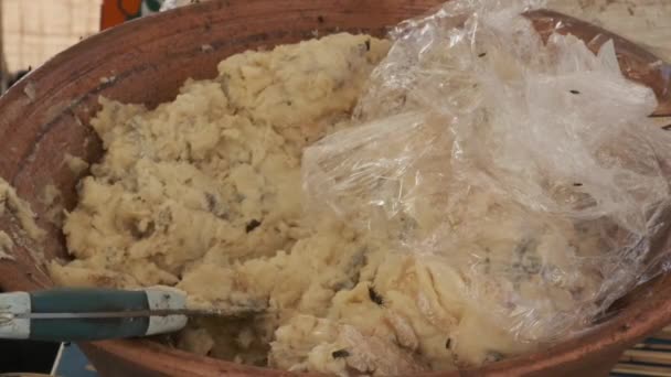 Queso Tradicional Sardo Con Gusanos Casu Marzu Queso Sardo Con — Vídeos de Stock