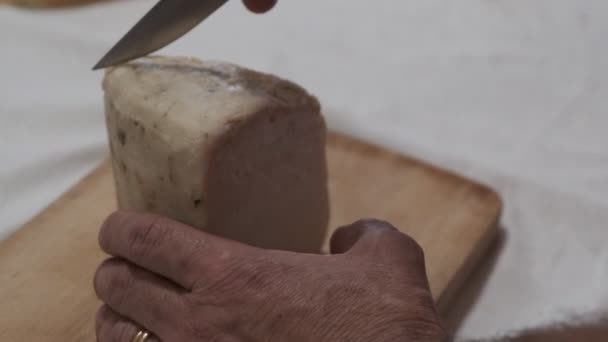 Traditional Sardinian Cheese Worms Casu Marzu Sardinian Cheese Larvae Piophila — Stock Video