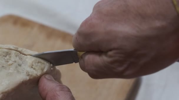 Queijo Tradicional Sardenha Com Vermes Casu Marzu Queijo Sardo Com — Vídeo de Stock