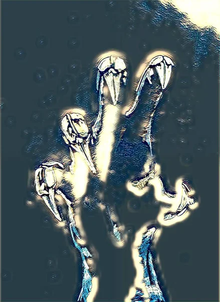 爪を持つ恐ろしい人間のブラシ — ストック写真