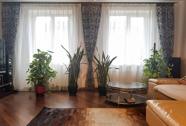 living room interior with curtains