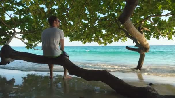 男子坐在树阴下的分枝上 坐在热带沙滩上 挥动着爱抚的脚 — 图库视频影像