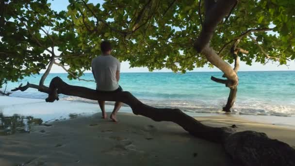 Handsome Barefoot Man Sitting Tree Tropical Beach Walks Ocean Wash — стокове відео