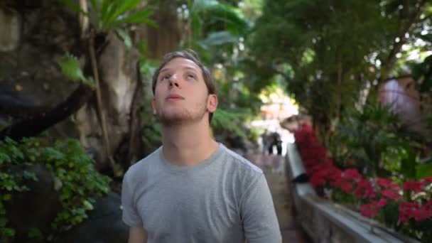 Turista Che Cammina Sopra Giardino Buddista Del Tempio Nel Sud — Video Stock