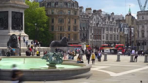 Telephoto Lens Trafalgar Square Timelapse Fountain Tourists Buses Background London — 비디오