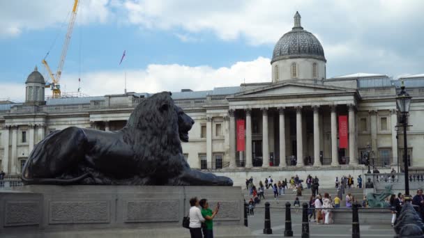 特拉法加广场的青铜狮子雕像 背景中的国家画廊 2019年6月 — 图库视频影像