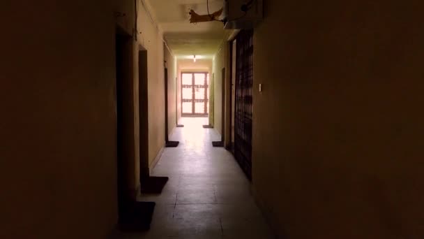 POV walking along a scary corridor in a house — Stock Footage Pov Walking Scary Corridor House Stock Footage