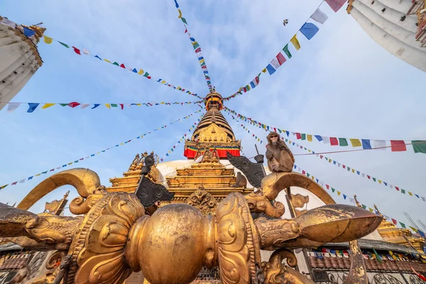 Swayambhunath Stupa Також Храм Мавпи Під Час Сходу Сонця Катманду — стокове фото