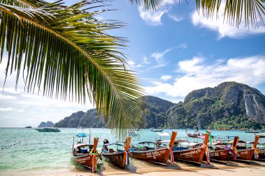 Phi Phi Adası, Tayland - 26 Kasım 2019: Phi Phi Adası 'nda bir plaja park edilmiş geleneksel tahta kuyruklu tekneler. Temiz su ve temiz sahil.