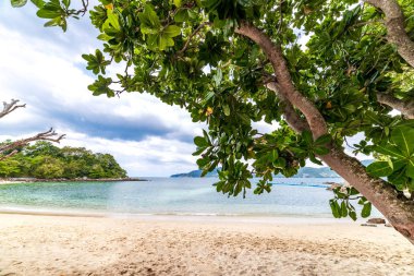 Phuket, Tayland 'daki Cennet Kumsalı. Ünlü turist eğlencesi. Tropik plaj. Mükemmel yaz kaçamağı..
