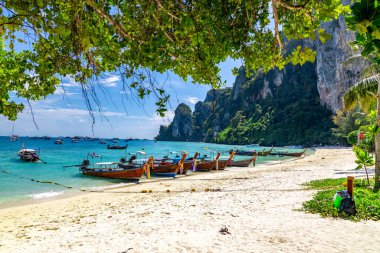 Tropik plaj. Yaz tatili kaçamağı konsepti. Geleneksel ahşap tekneler Phi Phi Adaları, Tayland 'da bir plajda park halindedir..