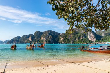 Geleneksel ahşap uzun kuyruklu tekneler Phi Adası 'nda bir plajda park halindedir. Temiz su ve temiz sahil.