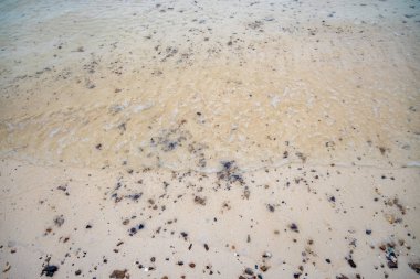 Tayland 'daki Phi Phi Adaları' nda sessiz deniz dalgaları sahile çarpıyor..