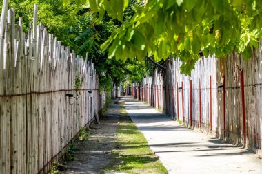 Tayland 'daki Phi Phi Adaları' nın her iki tarafında bambu çitleri olan dar bir sokak..