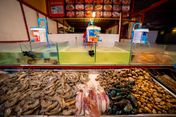 Różne Surowe Owoce Morza Wystawie Lokalnym Rynku Ulicznym Żywności Phuket — Zdjęcie stockowe