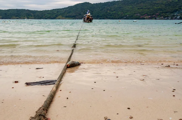 Martwa Ryba Wyrzucona Brzeg Plaży Phi Phi Island Koncepcja Zmiany — Zdjęcie stockowe