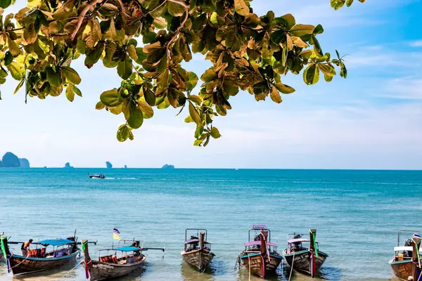 Barcos Cola Larga Tradicionales Estacionados Playa Nang Krabi Tailandia — Foto de Stock