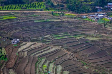 Nepal 'de hasat mevsiminden sonra teras pirinç çiftliği çorak..