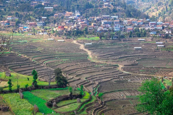 尼泊尔收获季节后荒芜的梯田 — 图库照片