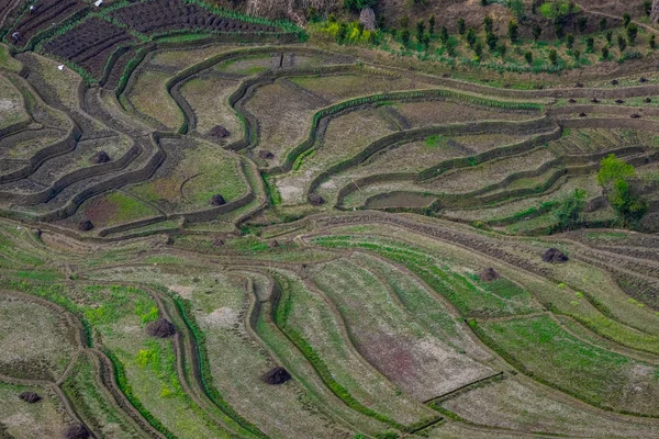 Terrace rice farm barren after harvest season in Nepal.