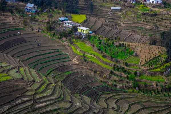 Terraço Fazenda Arroz Estéril Após Temporada Colheita Nepal — Fotografia de Stock